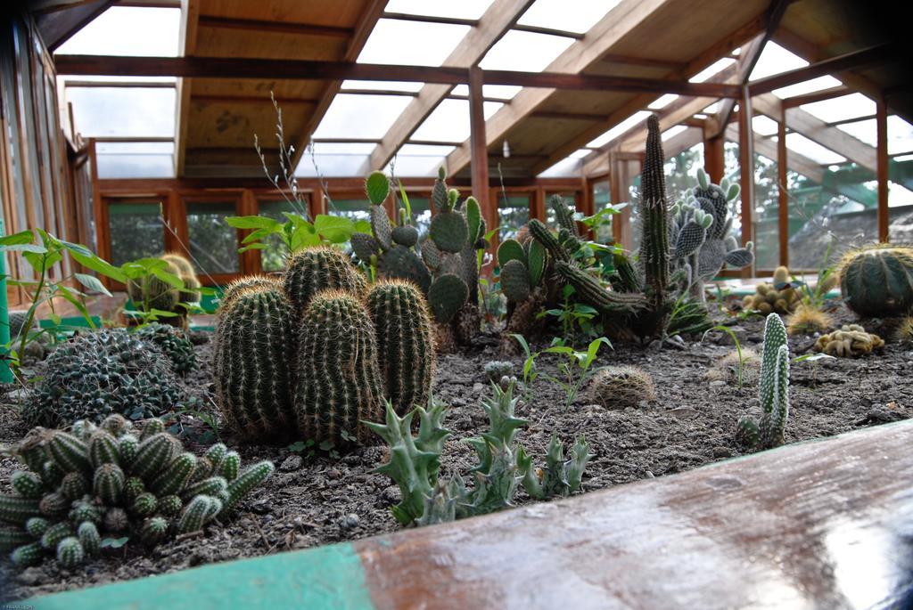Hosteria Mandala Puerto López Екстериор снимка
